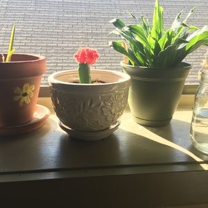 Meet your Posher, Trisha